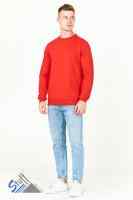 Толстовка (Свитшот) ПРЕМИУМ М-18